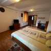 Apartament 2 camere spatios in Vila, zona Banat thumb 12