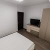 Apartament de lux, spatios, Banat thumb 8