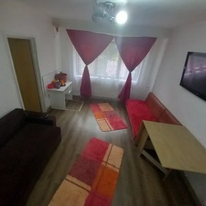 Apartament 2 camere, parter cu balcon, beci, Nord