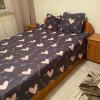 Apartament 2 camere, parter, Craiovei thumb 3