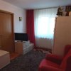 Apartament 2 camere Trivale thumb 2