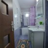 Apartament 2 camere Banat, mobilat si utilat thumb 5