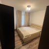 Apartament 2 camere Craiovei, prima inchiriere thumb 3