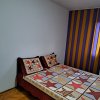 Apartament 2 camere, decomandat, Craiovei thumb 3