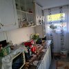 Apartament 2 camere, parter, balcon si pivnita, Banat thumb 11