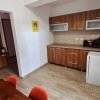 Apartament 2 camere Popa Sapca - zona rest. "La Butoaie" thumb 5