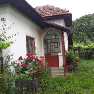 Casa si teren in comuna Cepari,  suprafata teren = 8520 mp