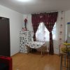 Apartament 2 camere, Trivale, parter, prima inchiriere thumb 3