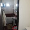 Apartament 2 camere, Banat, mansarda thumb 6