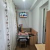 Apartament 2 camere Trivale, parter cu balcon thumb 7