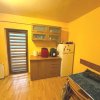 Apartament 2 camere Exercitiu, decomandat, confort 1, mobilat thumb 6