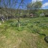 Cabana de locuit/vacanta , Bascov, Uiasca thumb 12