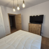 Apartament 3 camere complex Nordmark - prima inchiriere thumb 9
