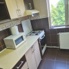 Apartament 2 camere Craiovei thumb 6