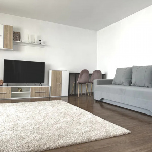 Apartament 3 camere Exercitiu