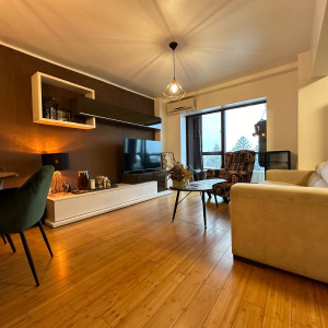 Apartament 3 camere Craiovei, renovat, mobilat, utilat