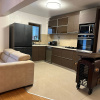 Apartament 3 camere Craiovei, renovat, mobilat, utilat thumb 10