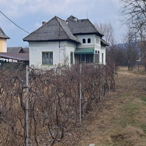 Teren Maracineni, 1200 mp teren
