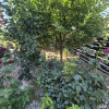 Apartament 3 camere situat la parterul unei vile thumb 15