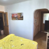 Apartament 4 camere Trivale thumb 2