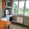 Apartament 4 camere Eremia Grigorescu thumb 9
