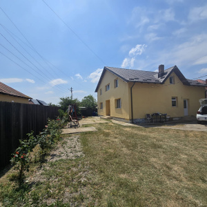 Vila P+M in Bradu
