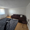 Vila P+M in Bradu thumb 2