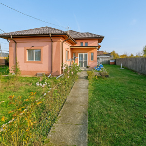 Proprietate formată din 2 Case+Teren, Ciocănăi