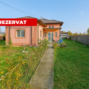 Proprietate formată din 2 Case+Teren, Ciocănăi