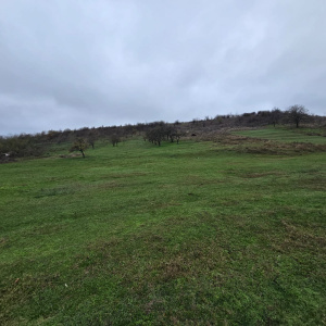 Teren intravilan 10.000 mp, Recea-Albota