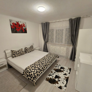 Apartament 4 camere, Popa Șapcă, Parter