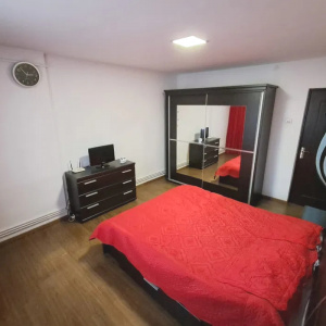 Apartament 2 camere Fratii Golesti