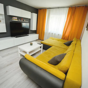 Apartament 2 camere Popa Sapca