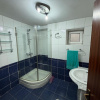 Casa deosebita Ramnicu-Valcea- Ultracentrala imaginea mica 8 Casa deosebita Ramnicu-Valcea- Ultracentrala thumb 8